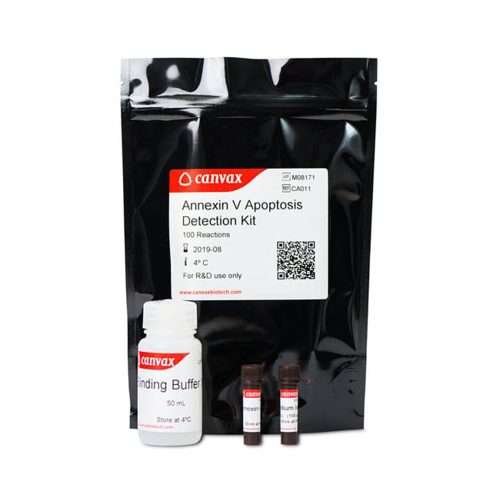 Annexin V apoptosis detection kit