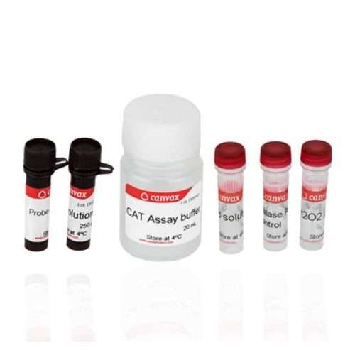 Catalase Activity Assay Kit