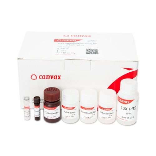 FDG - Galactosidase Assay Kit