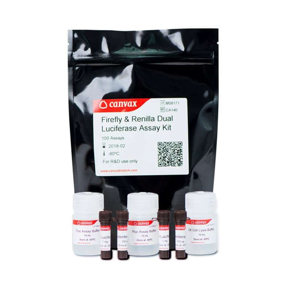Firefly & Renilla Luciferase Single Tube Assay Kit