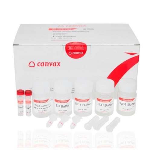 HigherPurity™ Bacterial DNA Isolation Kit