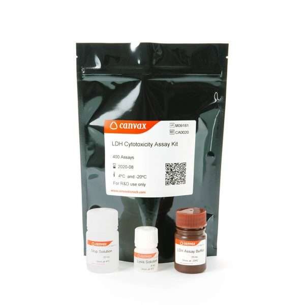 LDH Cytotoxicity Assay Kit