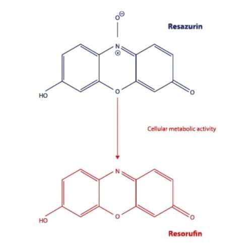 Resazurin to resofurin reaction for cell viability assay