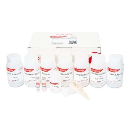 WideUSE™ Plasmid Maxiprep Kit