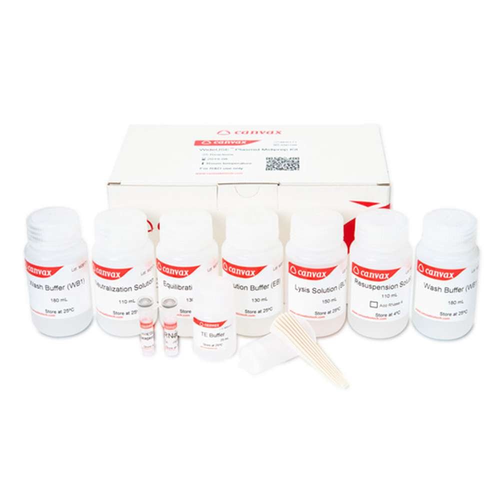 WideUSE™ Plasmid Midiprep Kit