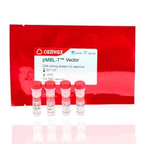 pMBL™ T Vector DNA Cloning Kit