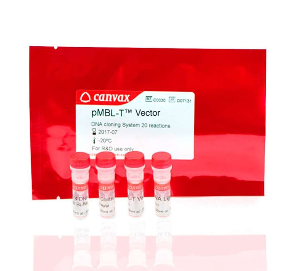 pMBL™ T Vector DNA Cloning Kit