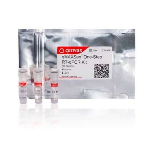 qMAXSen One Step RT qPCR kit