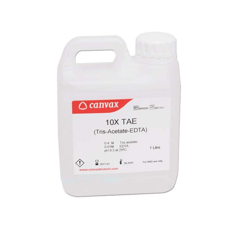 TAE Buffer 50X pH 8.3 1L bottle for DNA and RNA electrophoresis