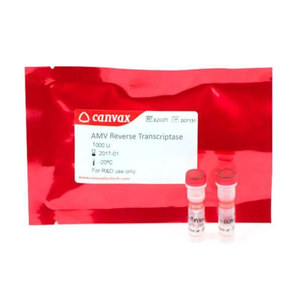 AMV Reverse Transcriptase enzyme Kit