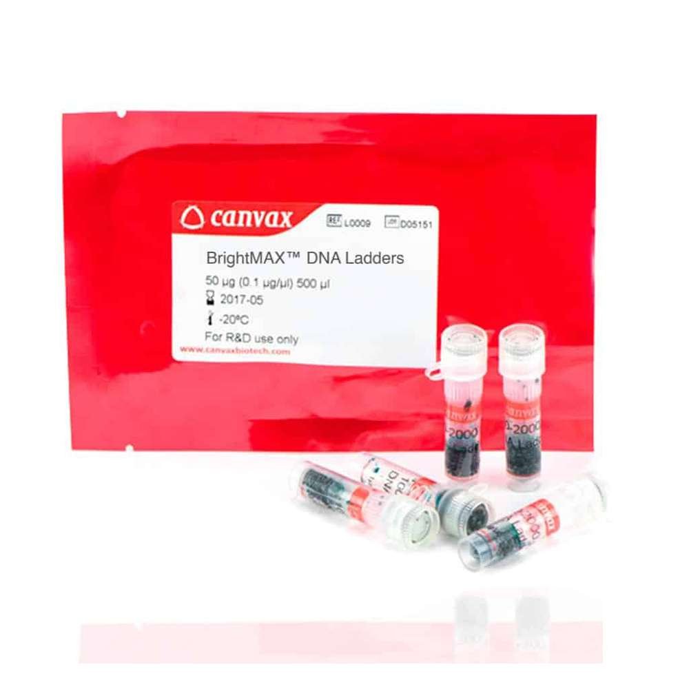 DNA Ladder