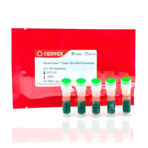 Green Taq DNA polymerase1