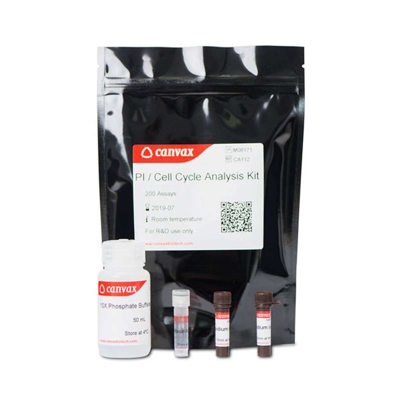 PI cell cycle assay kit