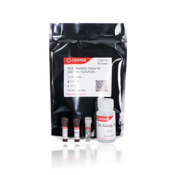 ROS Detection Assay Kit for measuring cellular reactive oxygen species.