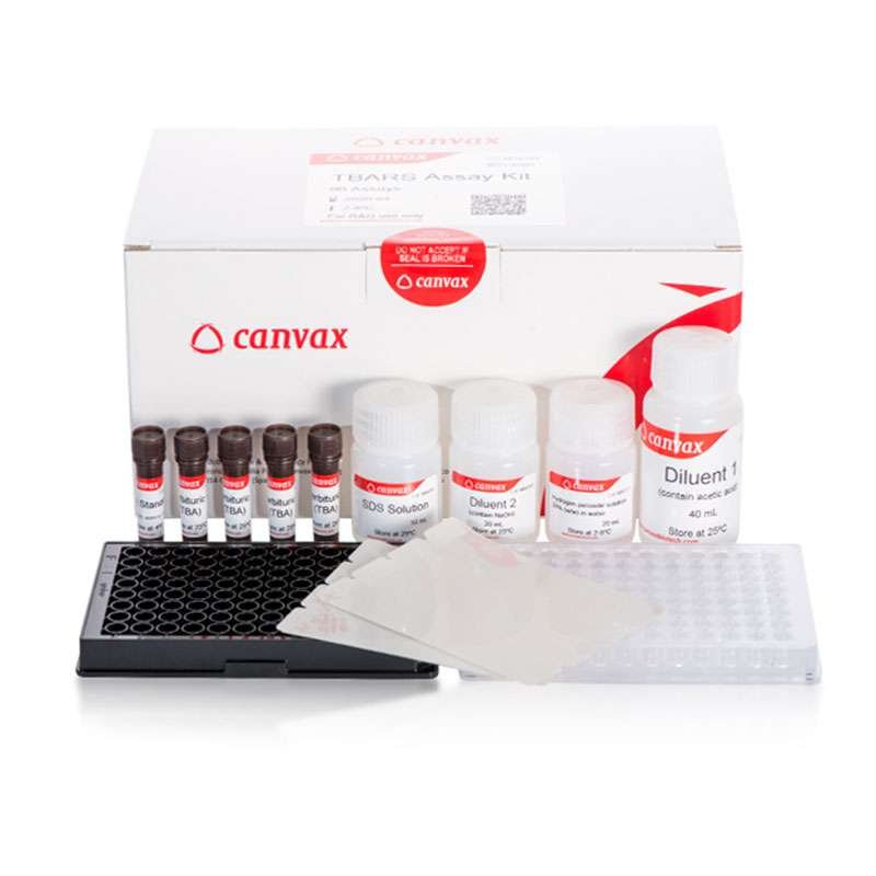 TBARS Assay Kit