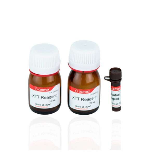 xtt cell proliferation assay kit