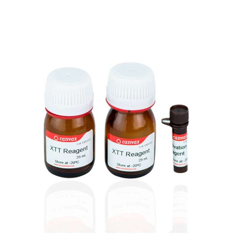 xtt cell proliferation assay kit