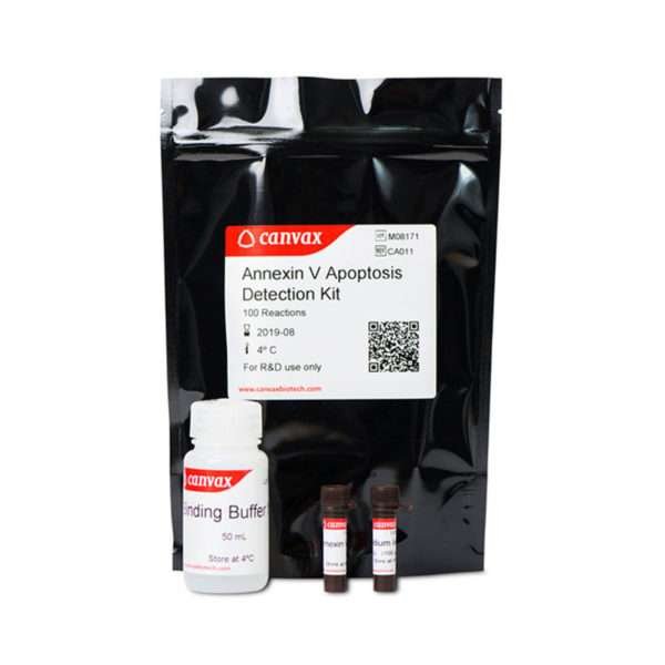 annexin v apoptosis kit