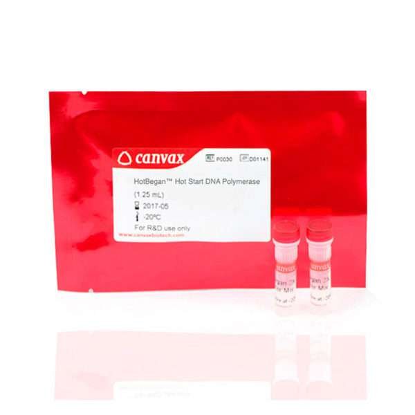 hot start dna polymerase