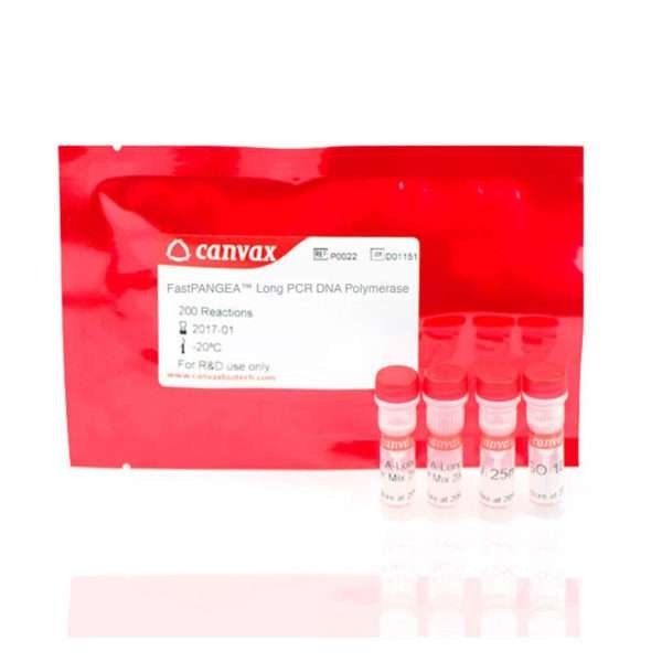 long pcr dna polymerase1
