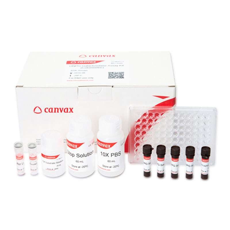 ONPG β-galactosidase assay kit