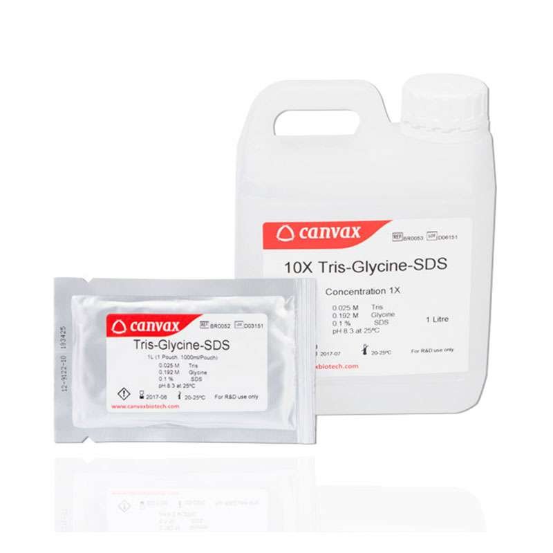 Tris-Glycine SDS pH 8.3 running buffer solution.