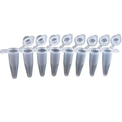 8 Well PCR Tube strip with Domed caps 120/box