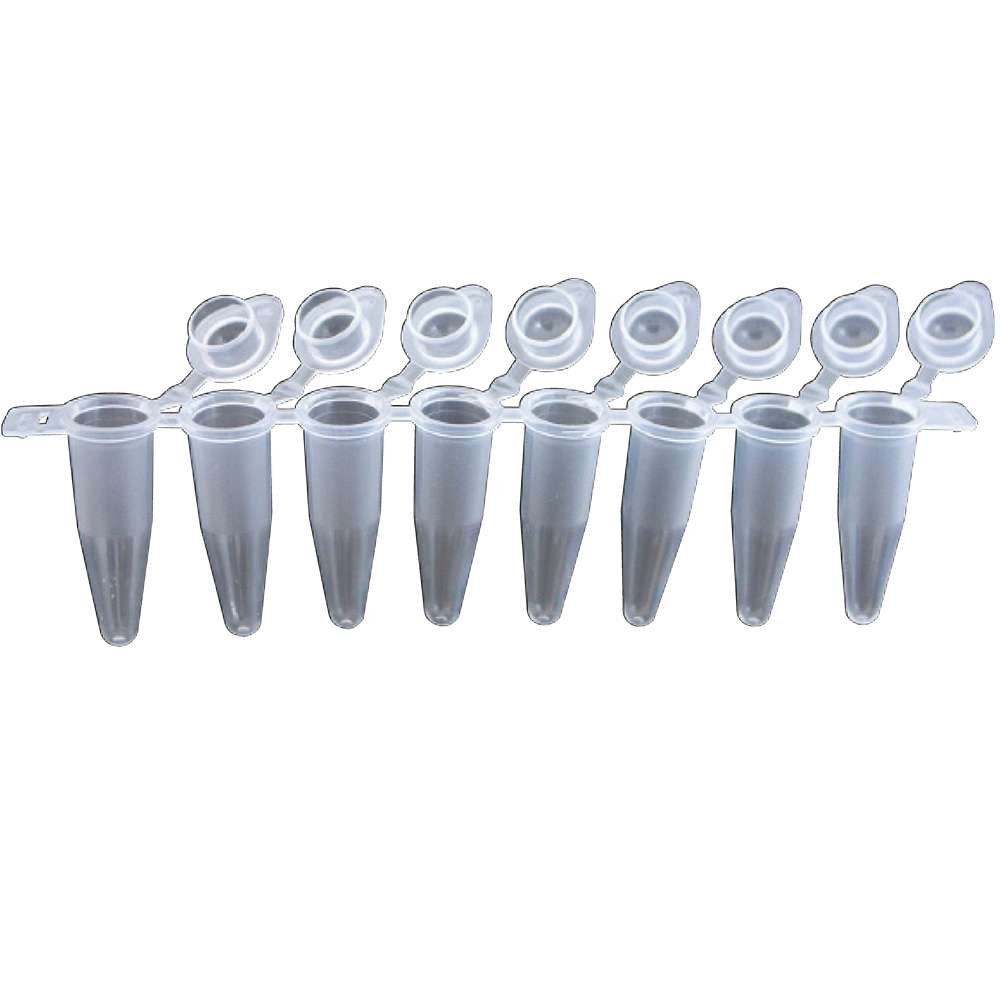 8 Well PCR Tube strip with Domed caps 120/box