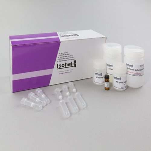 XtremeDNA Kit for Buccal Swabs
