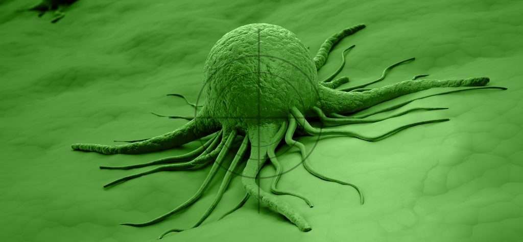 Cell3 Target Nonacus