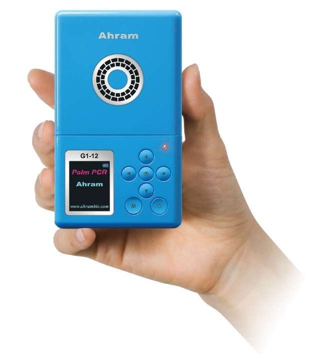 Palm PCR G2-12