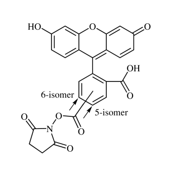 5(6)-Carboxyfluorescein NHS Ester