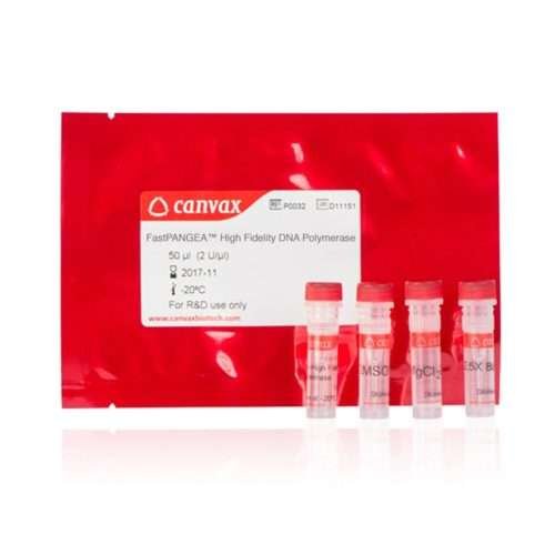 FastPANGEA™ High Fidelity DNA Polymerase