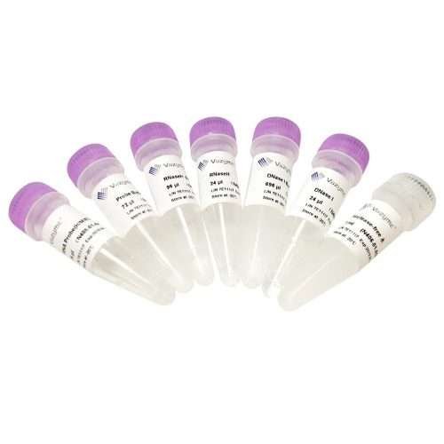 Ribo-off™ rRNA Depletion Kit (Human/Mouse/Rat)