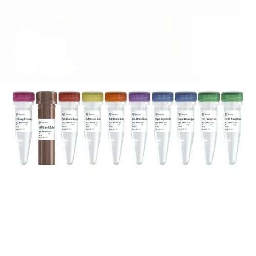 VAHTS Universal V10 RNA-seq Library Prep Kit for Illumina