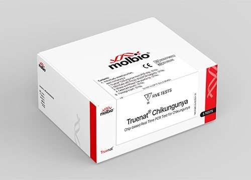 chikangunya test kit