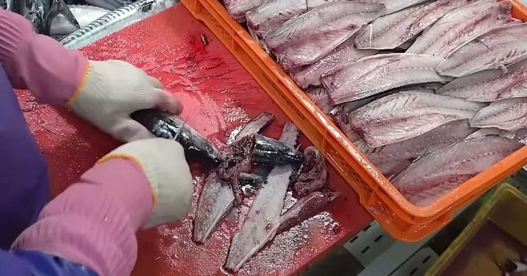 fish processing plant and fish waste produced