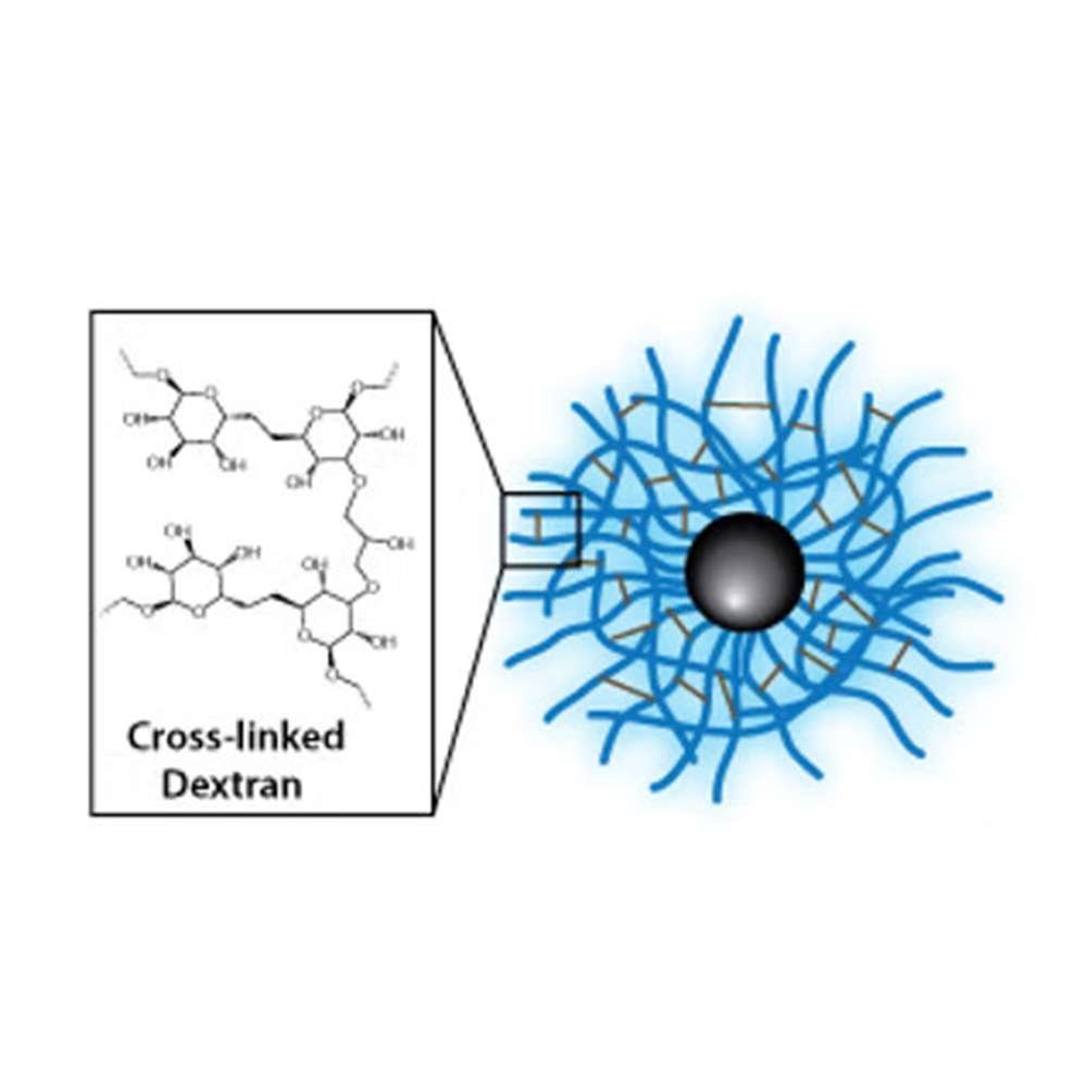 Dextran CLIO Magnetic Nanoparticles, 40 kDa, 1 mL
