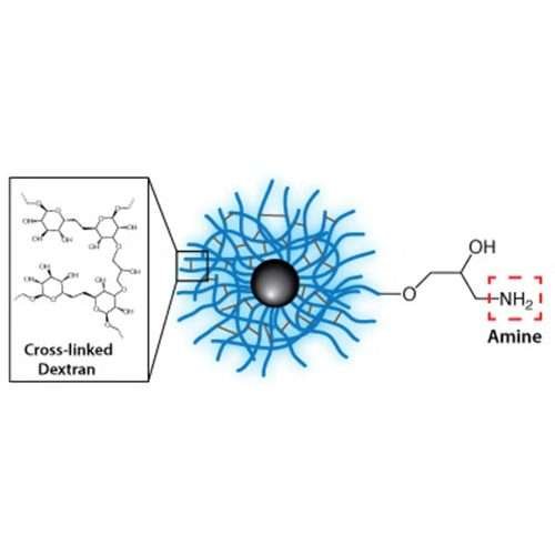 Dextran CLIO Magnetic Nanoparticles - Amine