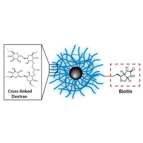 Dextran CLIO Magnetic Nanoparticles - Biotin