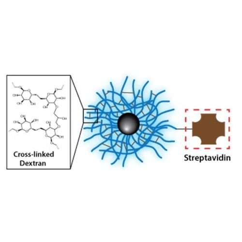 Dextran CLIO Magnetic Nanoparticles - Streptavidin, 40 kDa, 0.5 mL