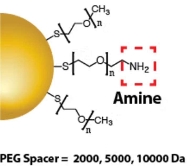 Luna Nanotech Gold Nanoparticles Amine functionalized