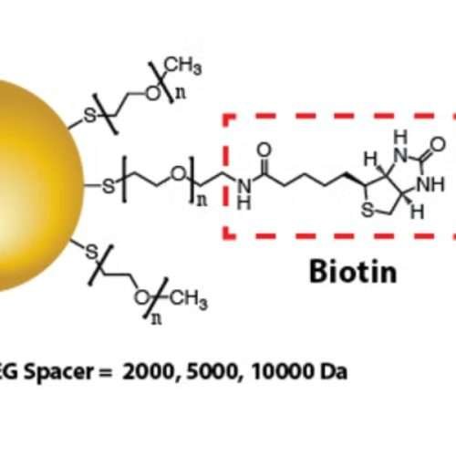 Biotin-functionalized gold nanoparticles for streptavidin binding