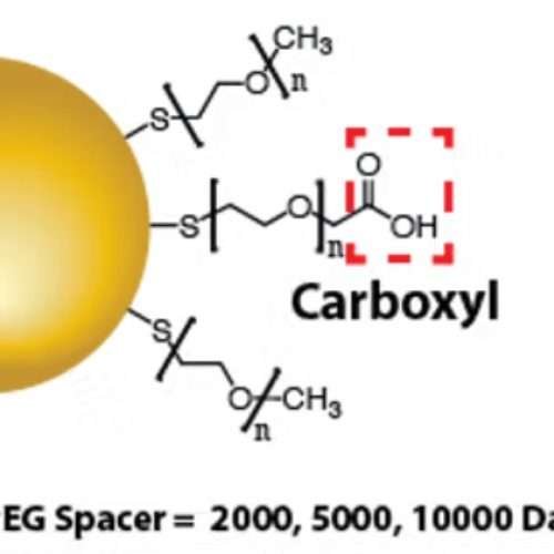 Carboxyl functionalized gold nanoparticles