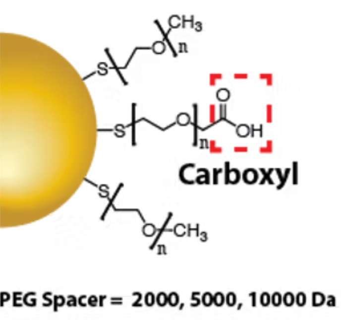 Carboxyl functionalized gold nanoparticles