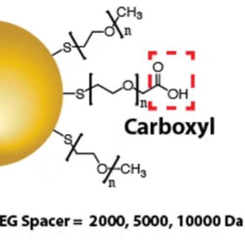 Carboxylated Gold Nanorods for Bioconjugation and Imaging