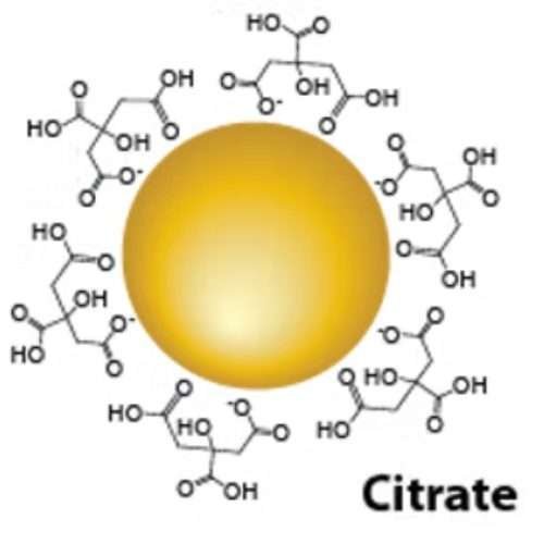 citrate gold nanoparticles