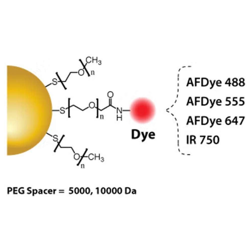 Gold Nanoparticles - Fluorescently Labeled