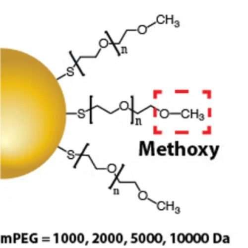 Methoxy PEG gold nanoparticles for in vivo applications
