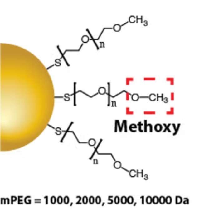 Methoxy PEG gold nanoparticles for in vivo applications